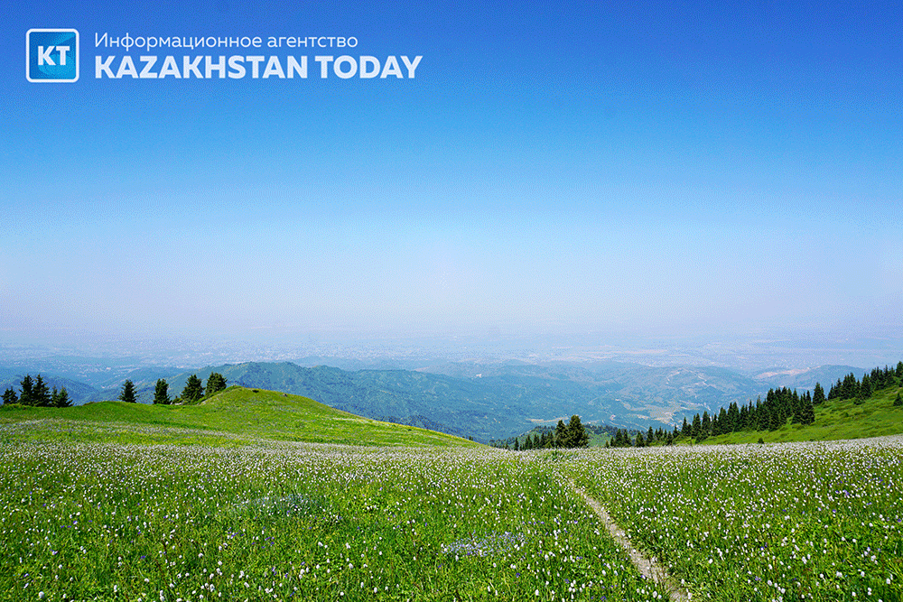 Какая погода ожидается в Казахстане в понедельник