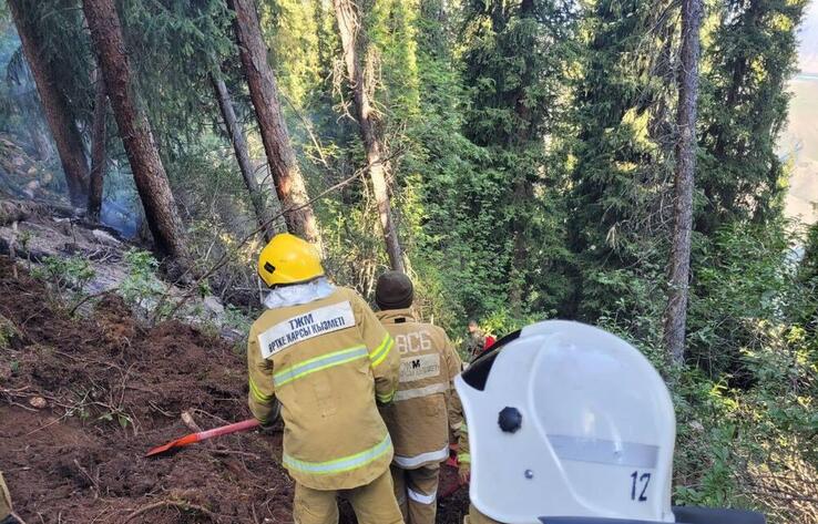 Іле-Балқаш қорығында өрт аумағы 6 мың гектардан 120 гектарға дейін қысқарды