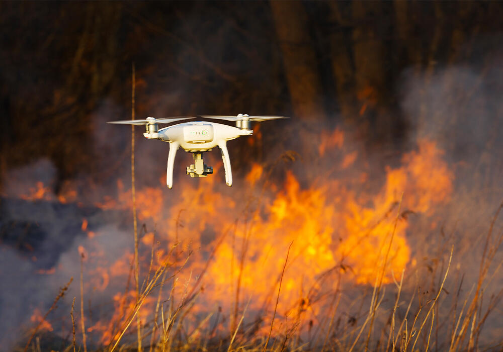 В горах Алматы сохраняется угроза высокой пожарной опасности - ДЧС 