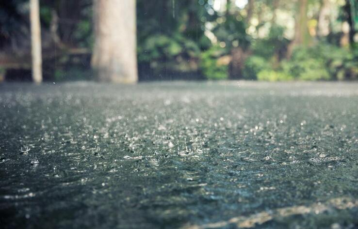 Дожди с грозами прогнозируют сегодня синоптики