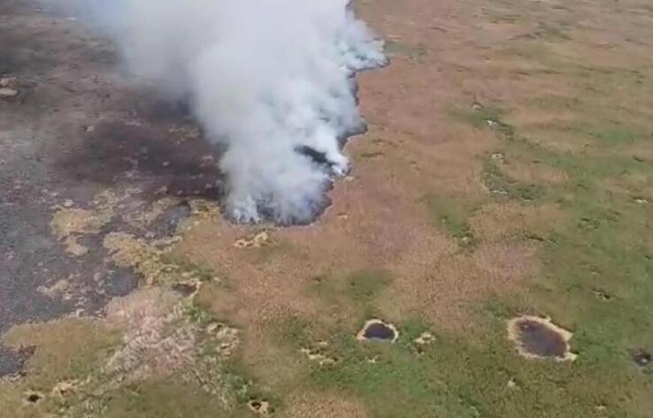Пожар на территории Иле-Балхашского резервата: площадь горения удалось снизить до 30 гектаров