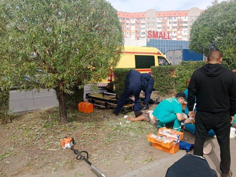 Три обрезчика деревьев пострадали от удара током в Павлодаре 