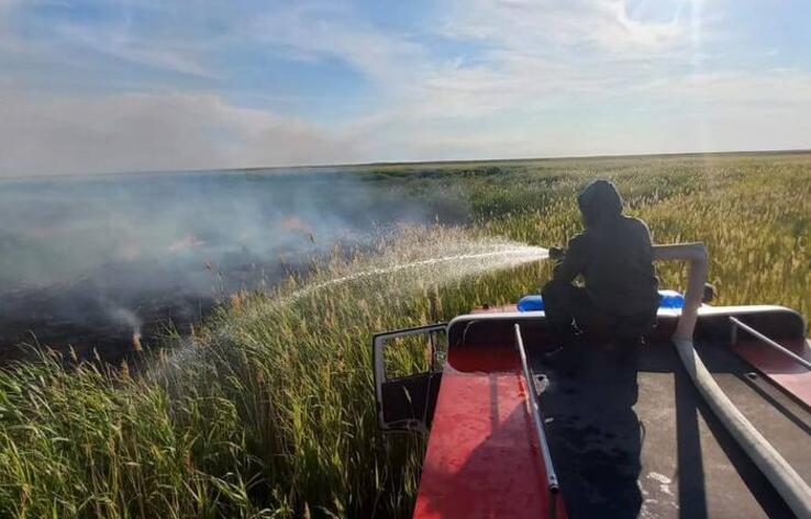 В Абайской области потушили возгорание камыша