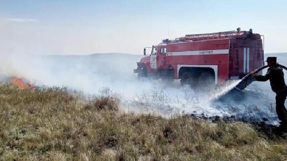 Пожар на территории резервата "Ертыс-Орманы" локализован