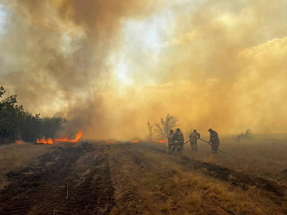 В ЗКО на нескольких участках горит сухая трава. Фото: МЧС РК