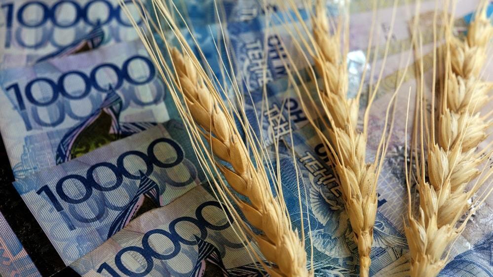 Почти 32 млрд тенге субсидий до сих пор не выплатили фермерам в Казахстане 