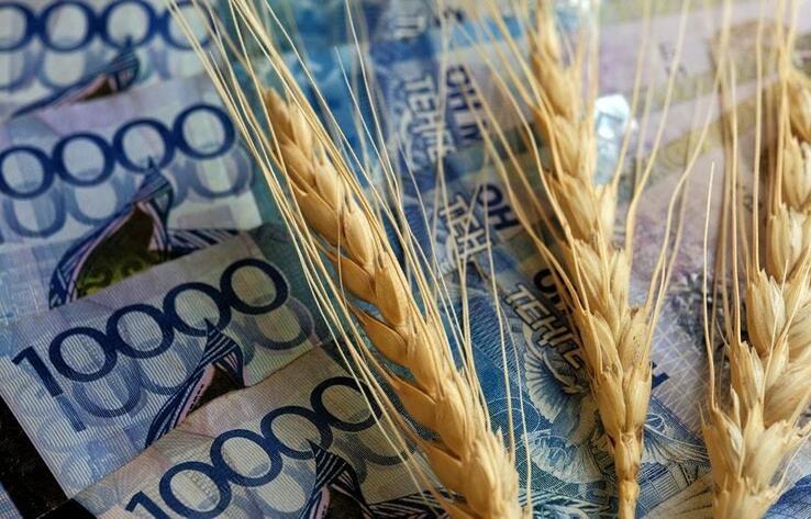 Почти 32 млрд тенге субсидий до сих пор не выплатили фермерам в Казахстане 