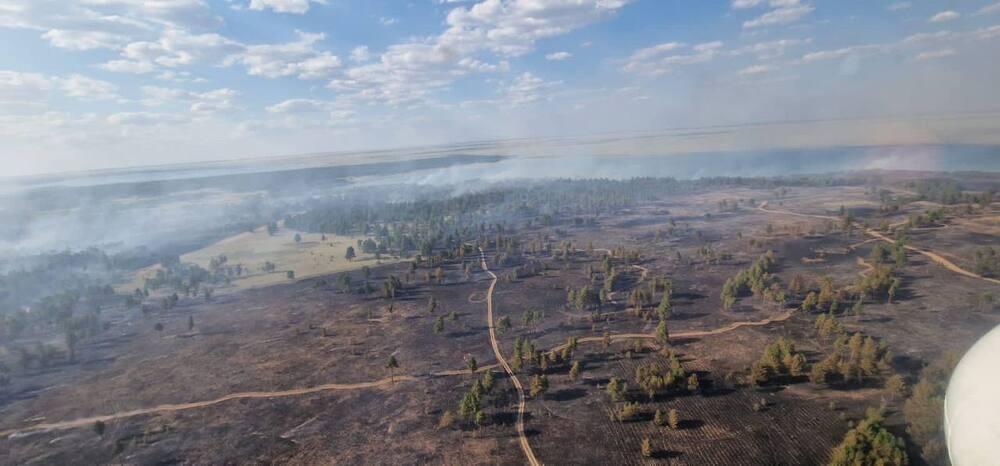 Природный пожар в Абайской области локализован 