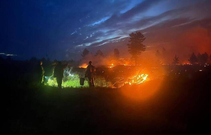 Площадь пожара в резервате "Ертiс Орманы" увеличилась до 850 гектаров