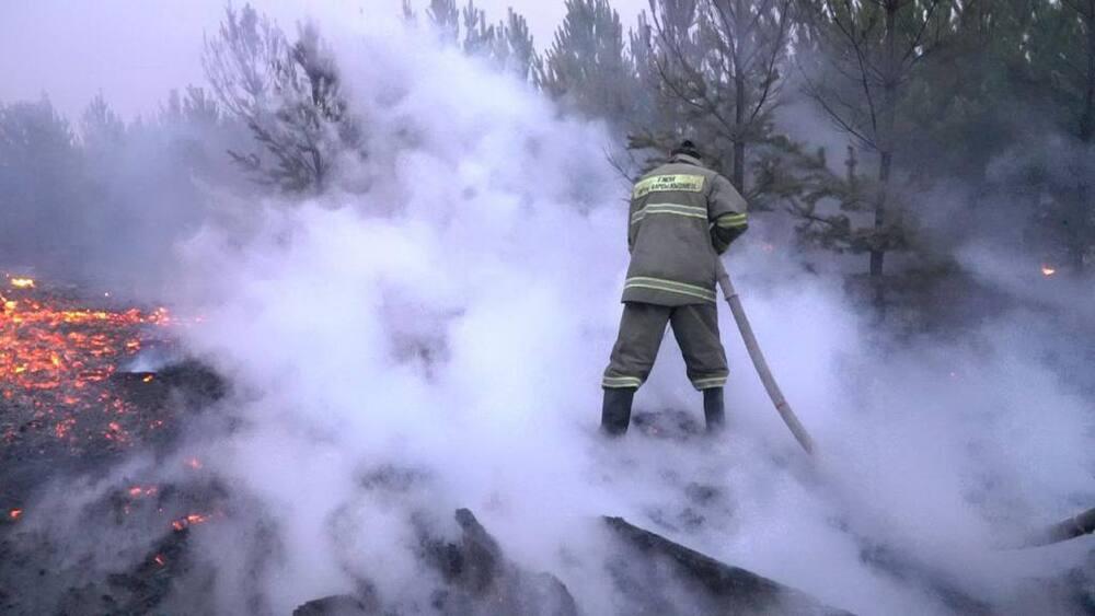 Wildfires in Pavlodar rgn: State of emergency set to be declared in 3 rural areas