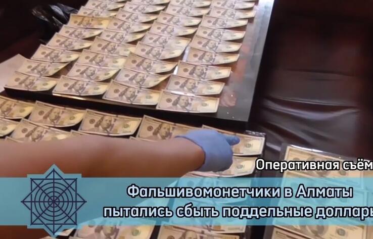 В Алматы фальшивомонетчики пытались сбыть поддельные 100-долларовые купюры