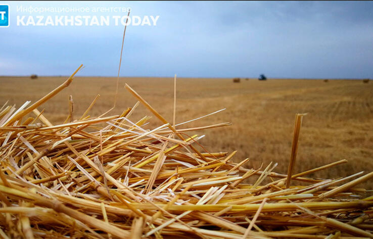 Drought-affected farmers may extend the term of payment of loans