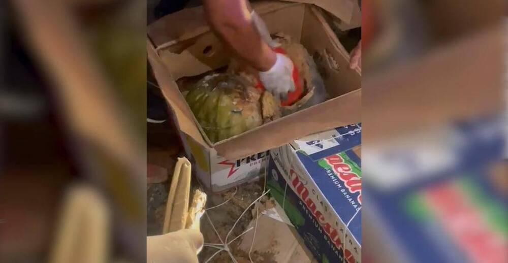 Пресечен канал транзита наркотиков через Казахстан, изъято более 59 килограммов героина