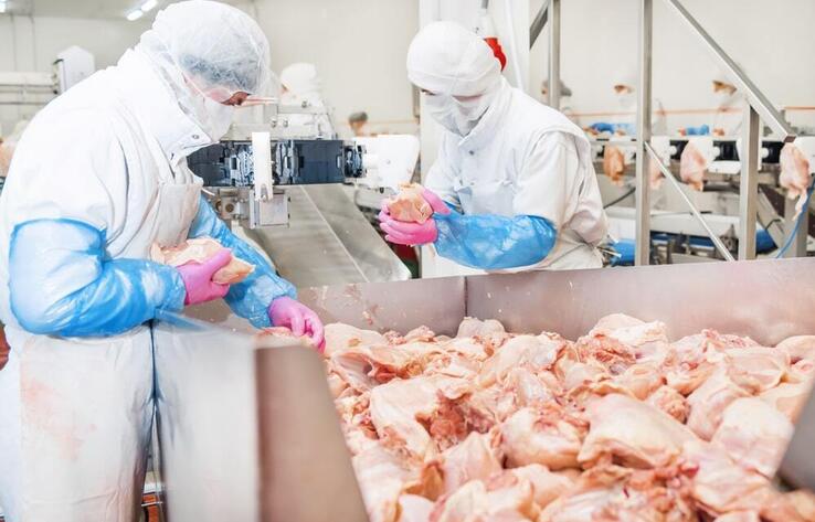 Бум экспорта мяса птицы из Казахстана: рост в 3 раза, но каковы последствия для внутренних цен?
