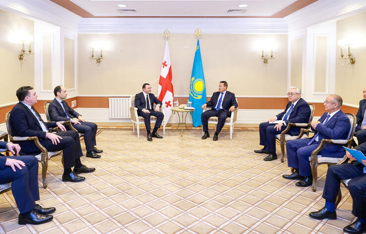 Heads of Kazakhstan and Georgia hold meeting in Almaty