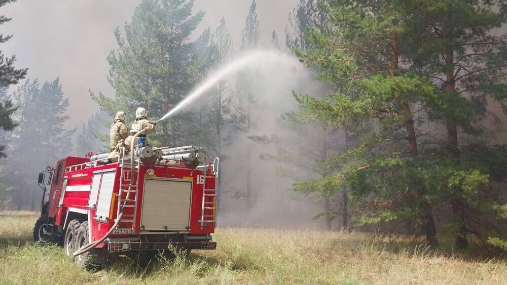 Спустя 11 дней потушили лесной пожар в области Абай
