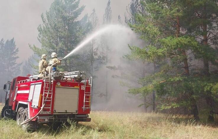 Спустя 11 дней потушили лесной пожар в области Абай
