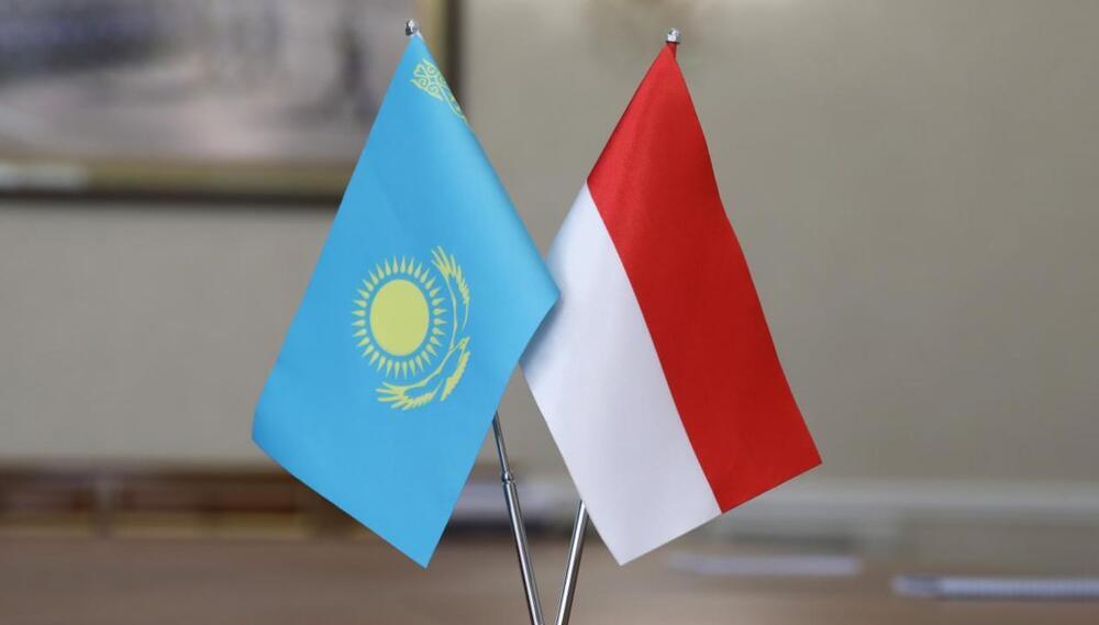 Казахстан и Индонезия хотят увеличить товарооборот до 1 млрд долларов