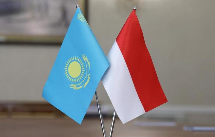 Казахстан и Индонезия хотят увеличить товарооборот до 1 млрд долларов