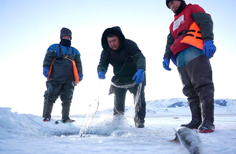 Озеро Сайрам-Нур важный производственный центр рыбы в Синьцзяне