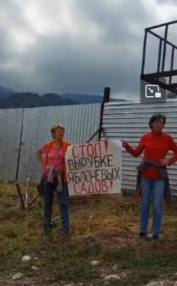 Акция против застройки горных районов прошла на Каменском плато в Алматы 