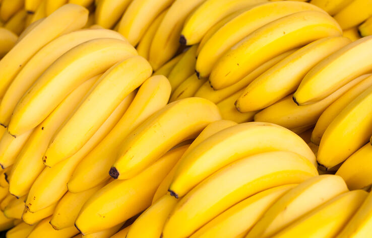 В Казахстане начали выращивать бананы