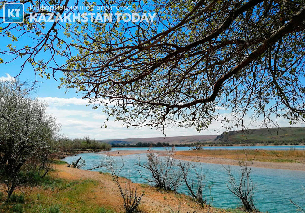 Минсельхоз Кыргызстана объяснил причину прекращения подачи воды Казахстану