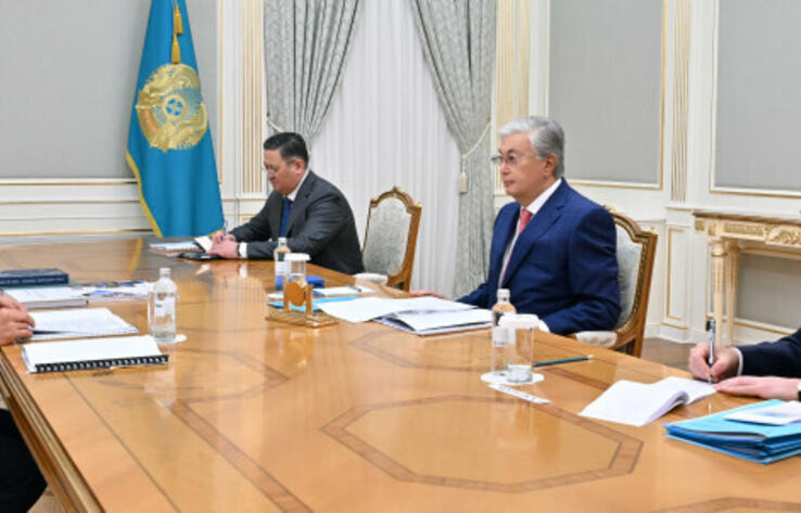 Президент Казахстана принял генерального секретаря СВМДА