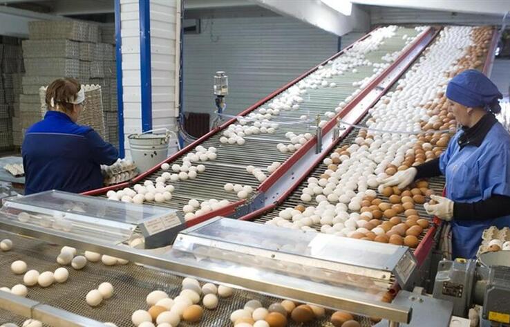 Птицефабрики в СКО оштрафовали за необоснованное повышение цен на яйца 
