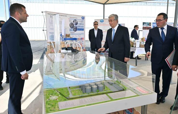 Tokayev visits Almaty region