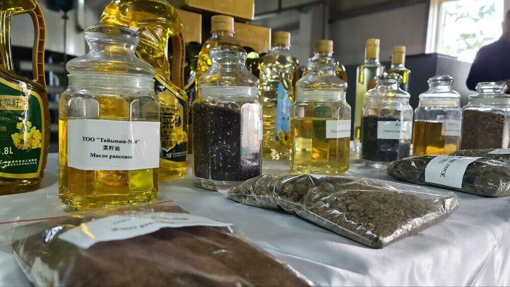 Журналистам рассказали, как развивается производство масличных культур в СКО