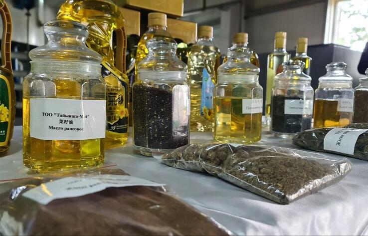 Журналистам рассказали, как развивается производство масличных культур в СКО