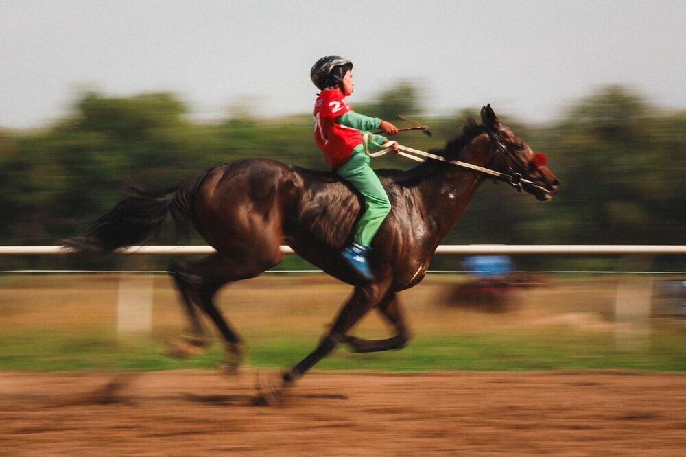 В Алматы проходит чемпионат Казахстана по байге . Фото: Пресс-служба акима Алматы/Аян Несипбеков