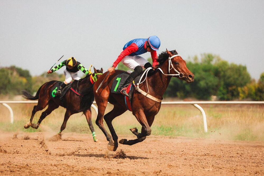 В Алматы проходит чемпионат Казахстана по байге . Фото: Пресс-служба акима Алматы/Аян Несипбеков