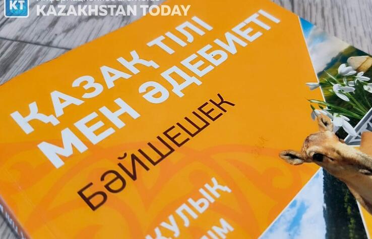 В Казахстане планируют установить уровни владения казахским языком