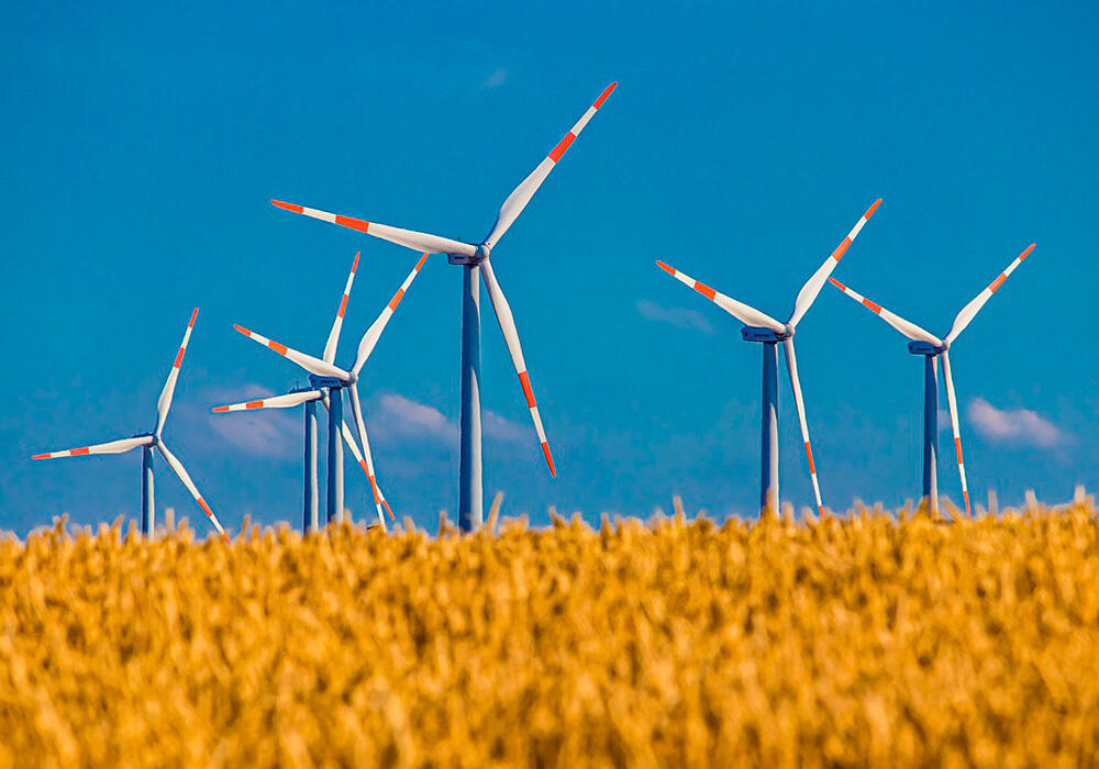 Жанатасская ветряная электростанция: профессиональный рост главного казахстанского специалиста