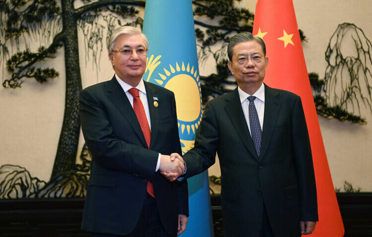 Президент РК провел встречу с председателем постоянного комитета Всекитайского собрания народных представителей 