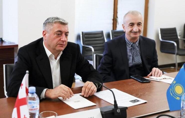 The political and economic course of Kazakhstan is represented in the Parliament of Georgia