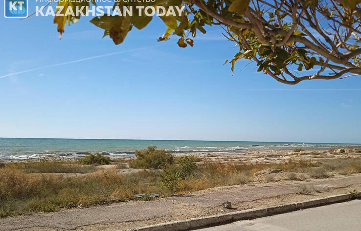 114 см за 10 лет: в Азербайджане обеспокоены снижением уровня Каспия