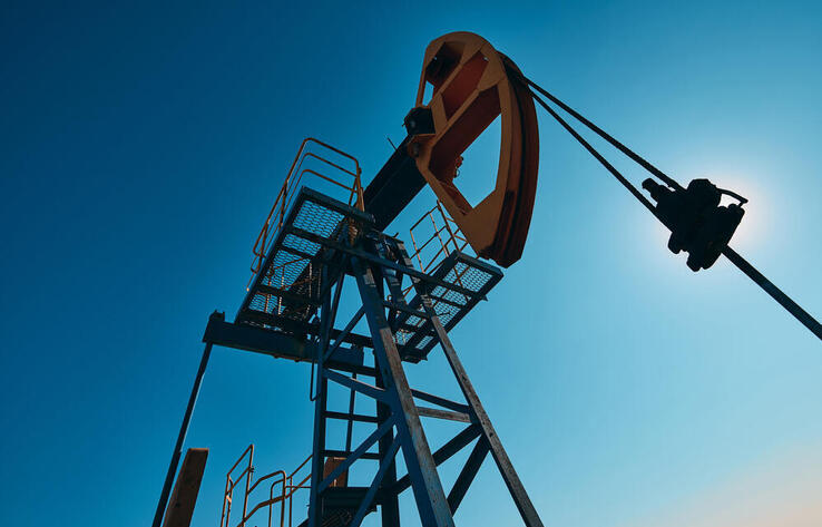 Казахстан заявил о готовности увеличить объемы экспорта сырой нефти на французский рынок