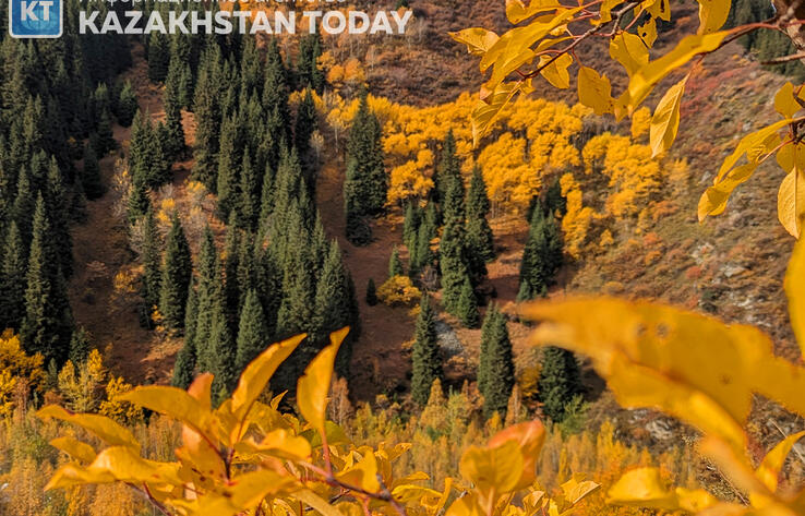 Краски осени в горах Алматы