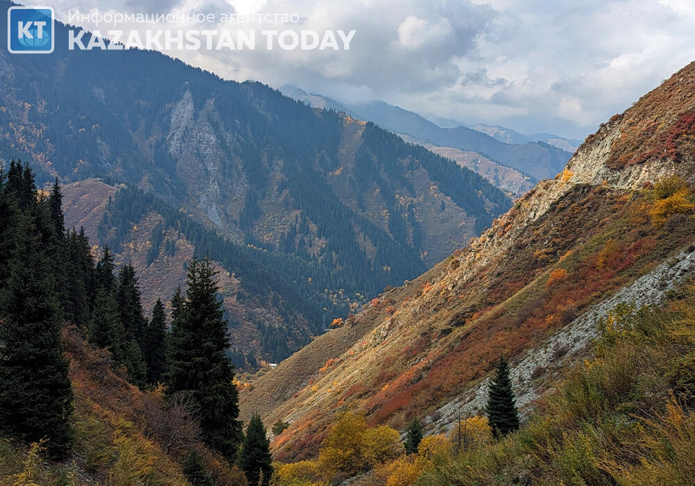 Краски осени в горах Алматы. Фото: Ирина Потапова