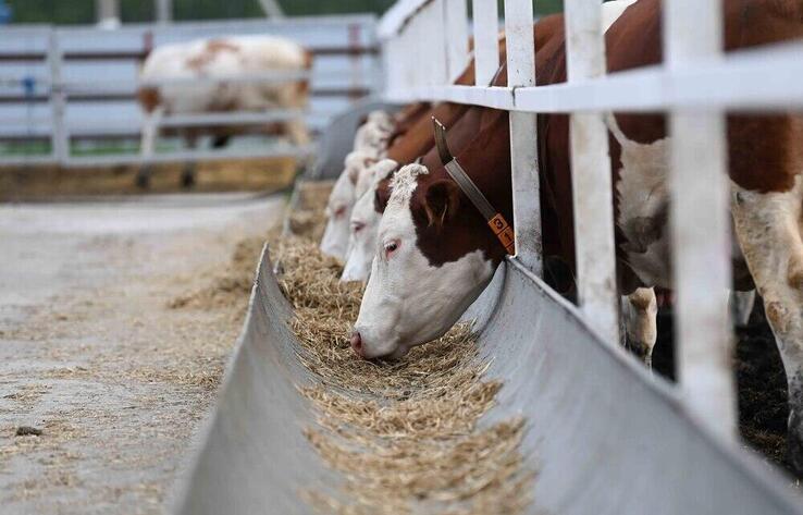 Низкие темпы заготовки кормов для скота отмечаются в ряде областей Казахстана