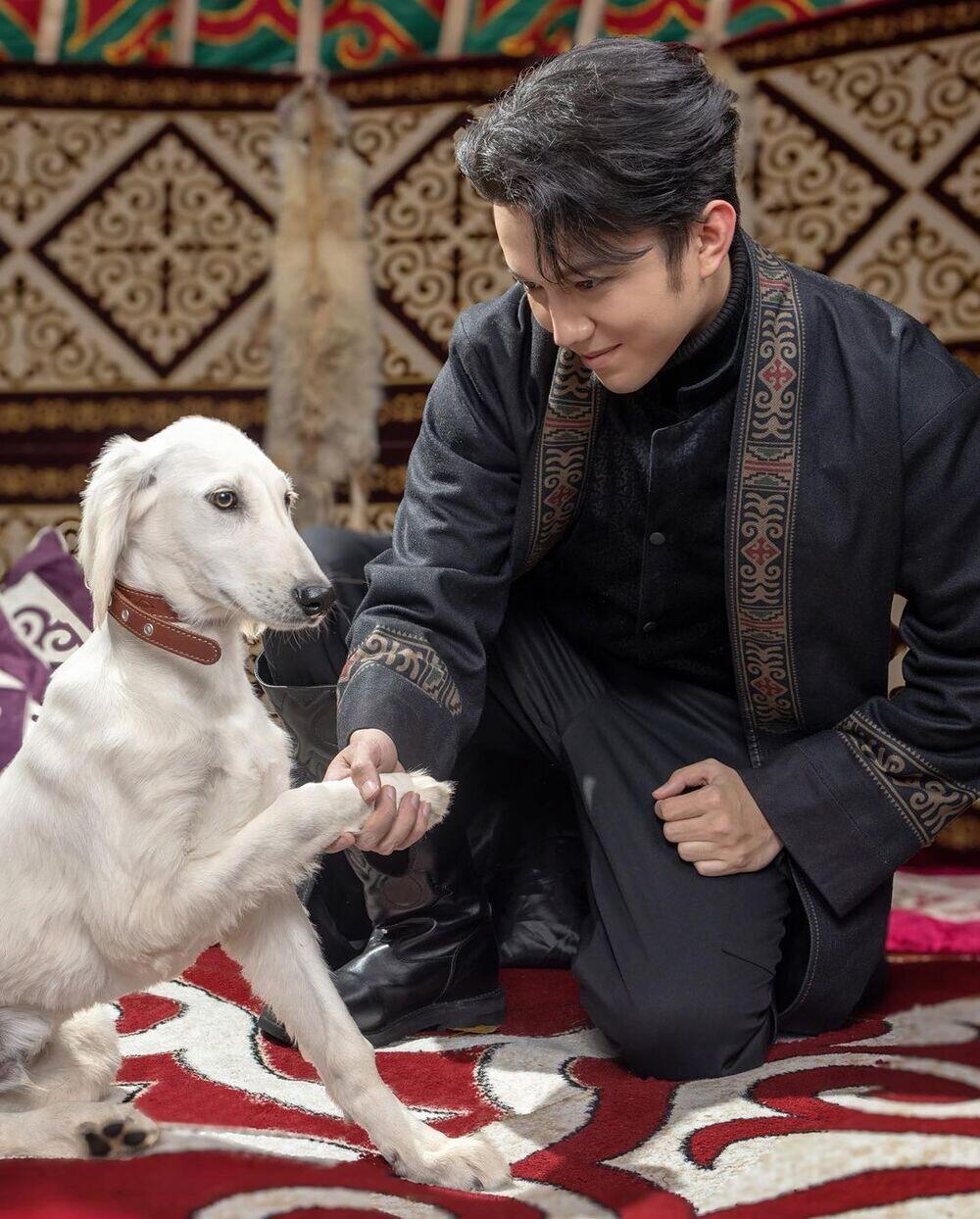 Tokayev presents Dimash Kudaibergen with Tazy puppy. Images | Instagram/kudaibergenov.dimash