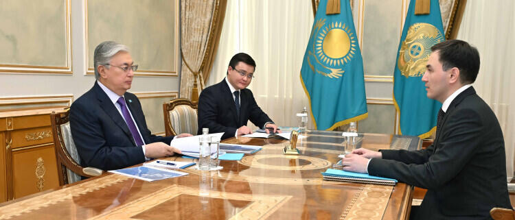 Президенту Казахстана доложили о структурных реформах в экономике страны