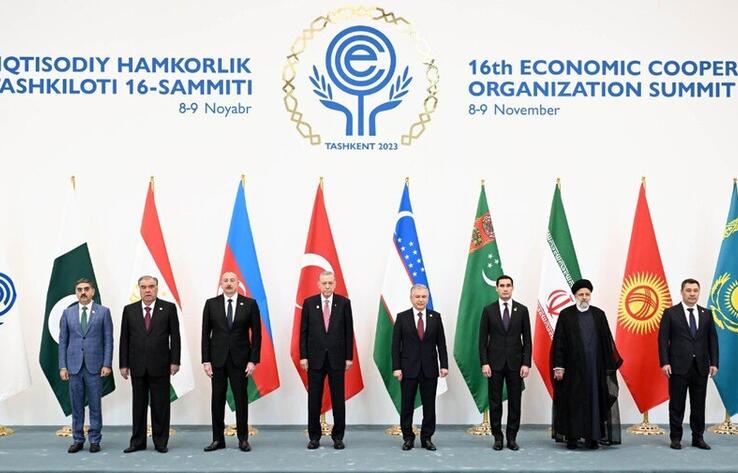 Меняющаяся архитектура мира. Саммит ОЭС в Ташкенте об экономике, энергетике и Палестине
