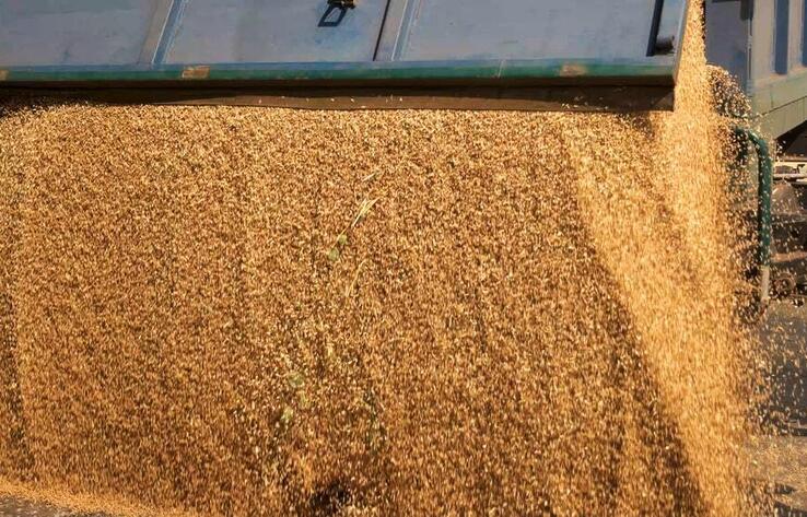 Kazakhstan to build certification labs for grain and meat exporting to China