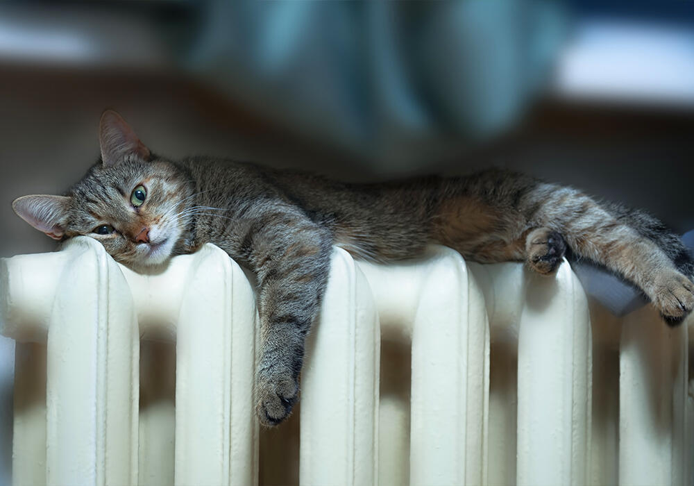 Токаев поручил министру энергетики держать на особом контроле прохождение отопительного сезона