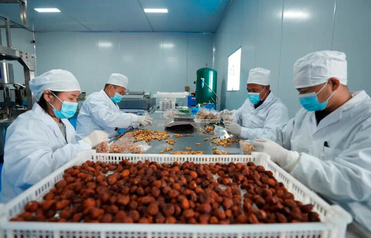 Завод по переработке фруктов в Хоргосе - пример дополнительного дохода для населения