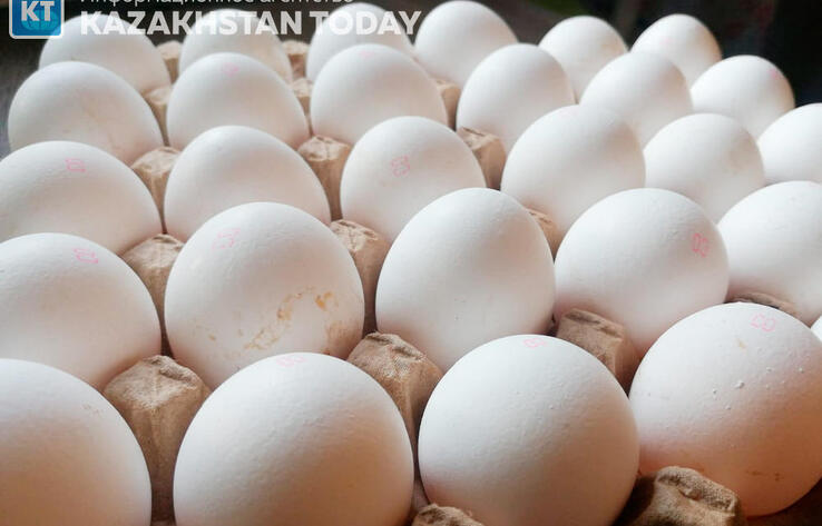 Large retail chains will reduce the trade mark-up on first-category eggs